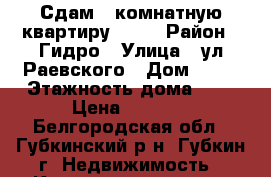 Сдам 1-комнатную квартиру 6500 › Район ­ Гидро › Улица ­ ул.Раевского › Дом ­ 16 › Этажность дома ­ 5 › Цена ­ 6 500 - Белгородская обл., Губкинский р-н, Губкин г. Недвижимость » Квартиры аренда   